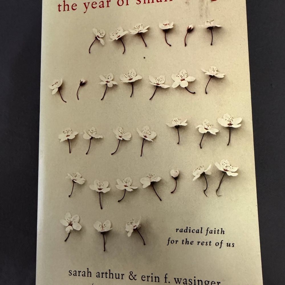 The Year of Small Things Book